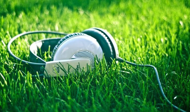5 de Junio –  Día del Medio Ambiente – Las mejores canciones medioambientales