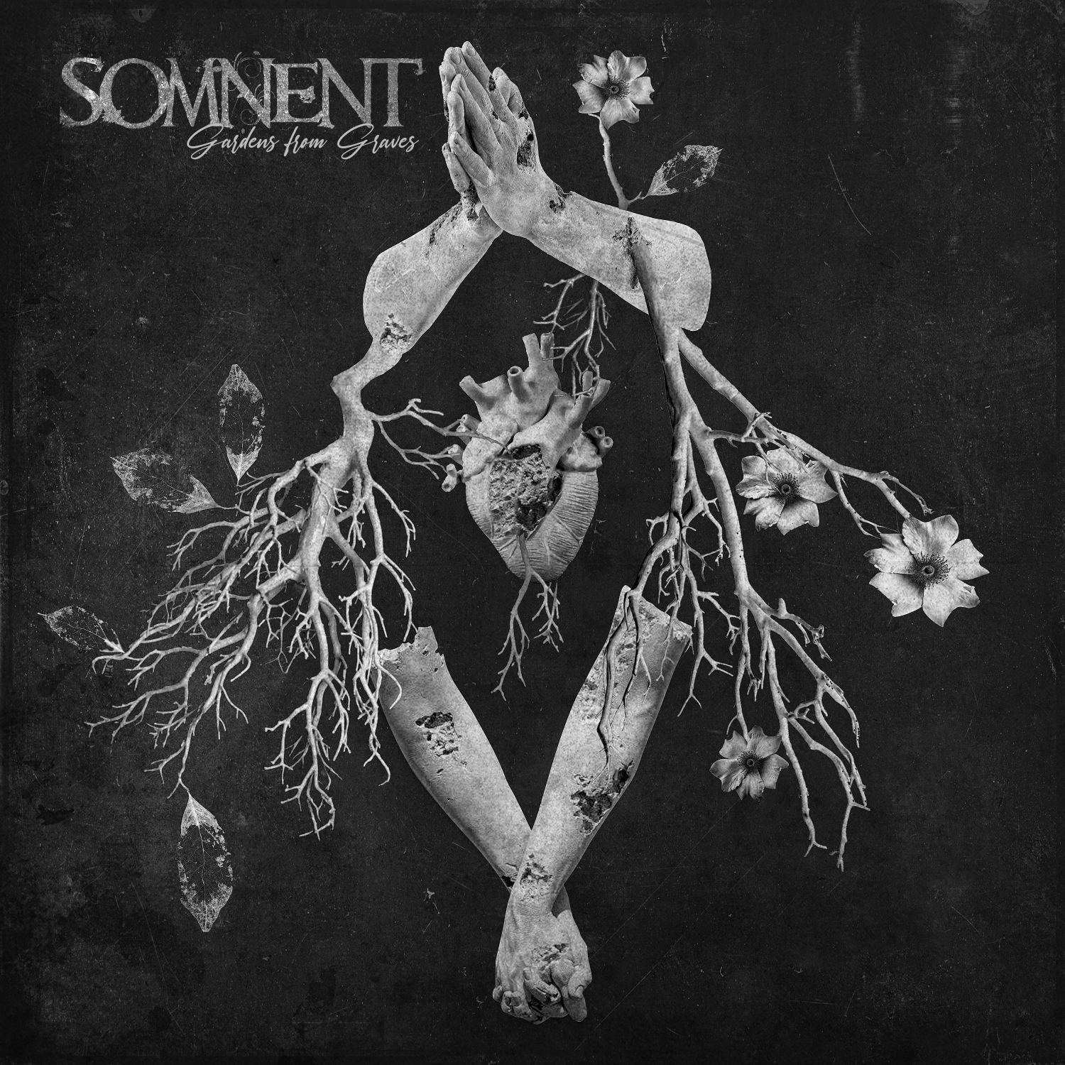 SOMNENT – “Gardens From Graves” (ALBUM REVIEW)