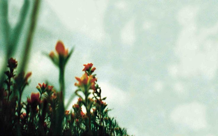 The Fragile: 25 años desde que Trent Reznor pintó su segundo autorretrato