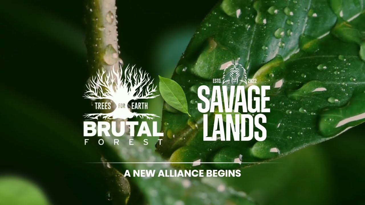 Brutal Assault se alía con Savage Lands, la ONG de Dirk Verbeuren (Megadeth), para proteger bosques durante los próximos 3 años